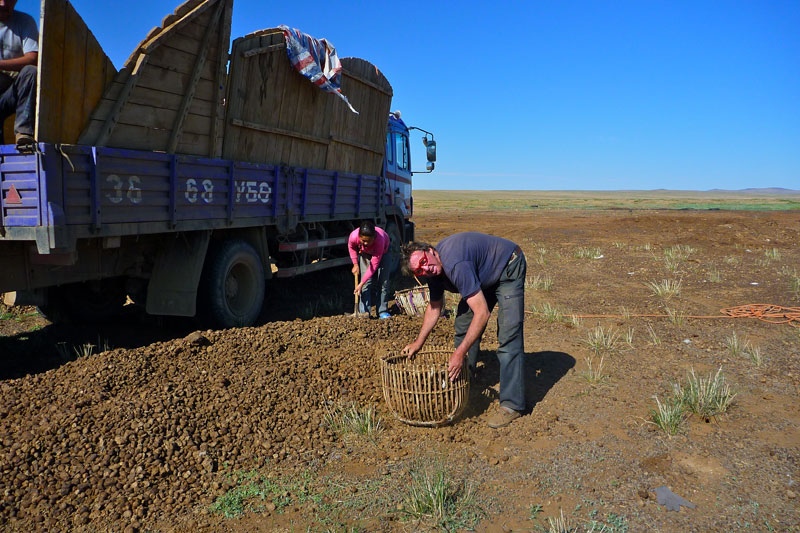 Mongolie